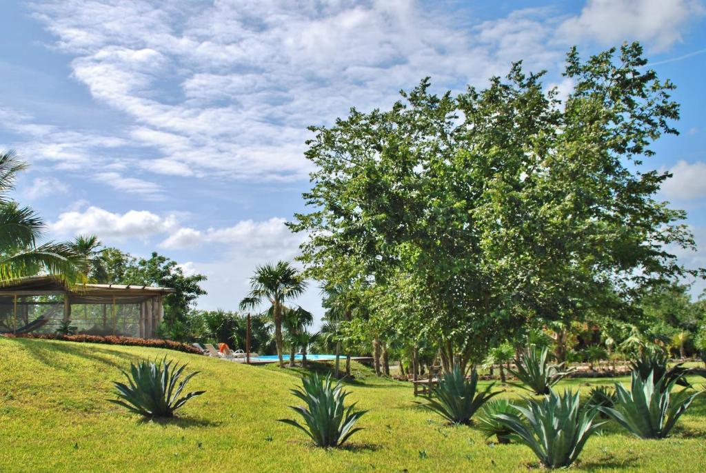 Hotel El Chital Raudales Exteriör bild